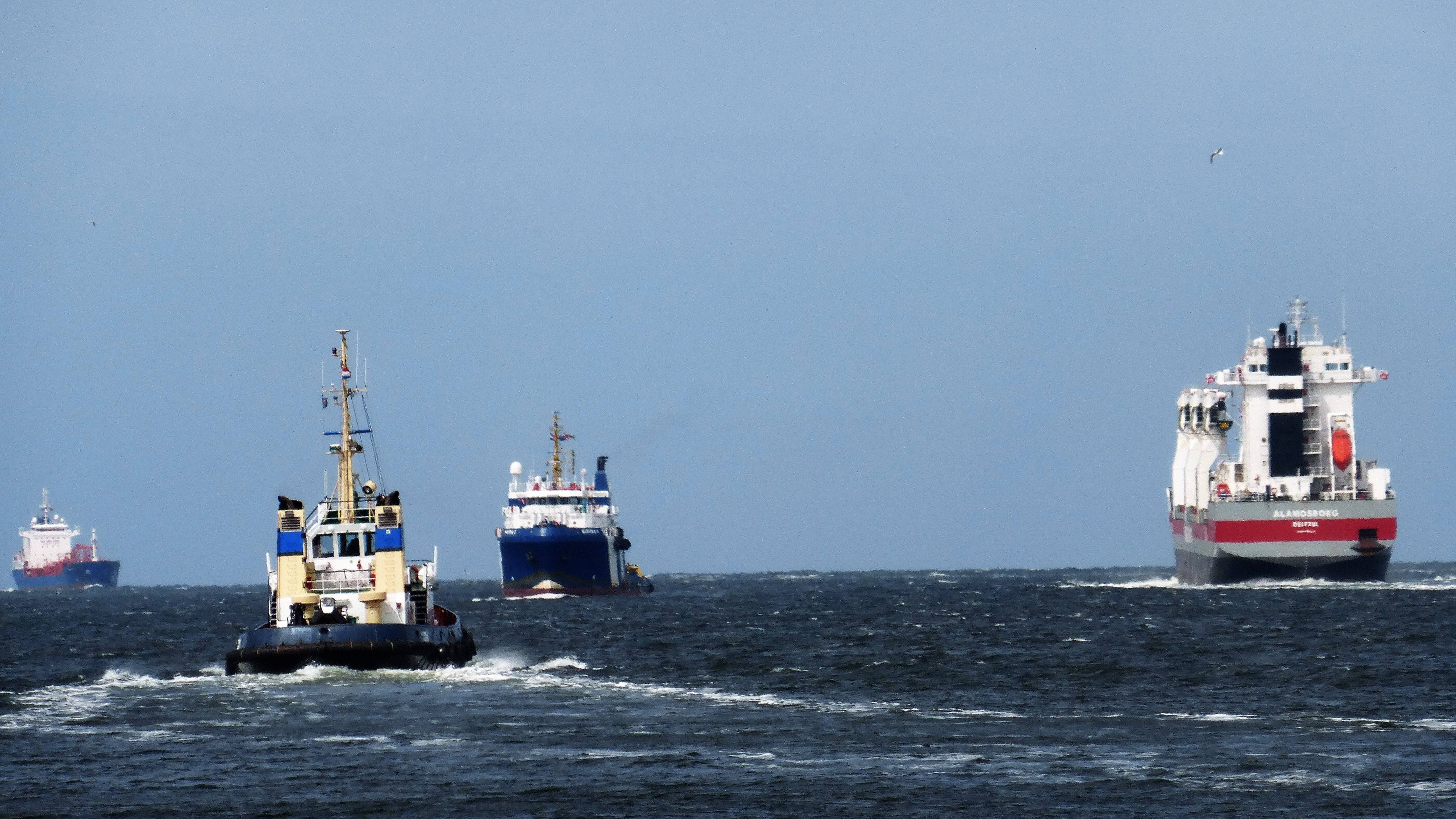 Pieren IJmuiden 17-06-18-1 